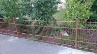 Gundelsheim 1